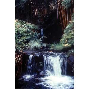   By Buyenlarge Tropical Waterfall 20x30 poster