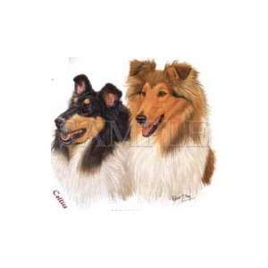 T shirts Animals Dogs Head Collies Xl: Everything Else
