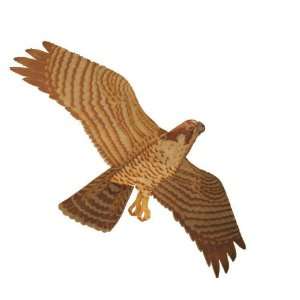  Jackite Assembled Peregrine Falcon Bird Kite, Wind Sock 
