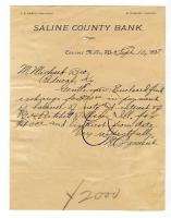 1897 Saline County Bank Carrier Mills Illinois letter  