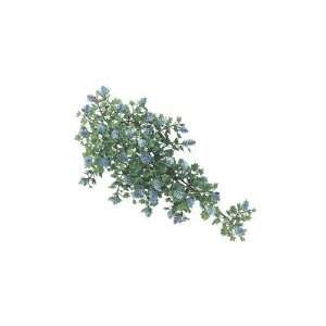  Aquaria Marineland AS15021 Blue Clover Ivy