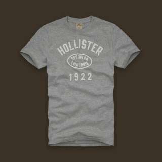 NWT Hollister Men Big Dume Graphic T Shirt Heather Grey  