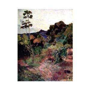  Tropical Landscape    Print