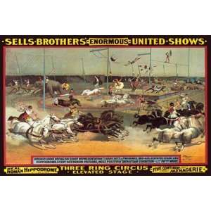  Sells Brothers Enormous United Shows Three Ring Circus 