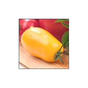  Yellow Plum Tomato   4 Plants   Sweet Flavor Patio, Lawn 