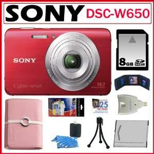  LCD in Red + 8GB SDHC + Sony Case + Card Reader + Replacement Battery