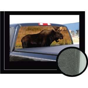   Window Graphic   back compact pickup truck decal suv view thru vinyl