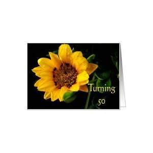  50th Birthday, yellow Gazania Card Toys & Games