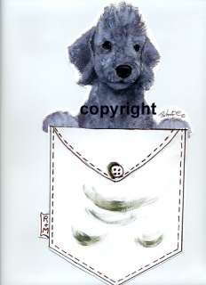 Bedlington Terrier pup in a pocket nightshirt  