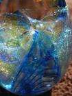 Signed Glass Eye Studio Dichroic Blue Passion Egg Paperweight  