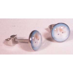  Shop   8mm Stainless Steel Stud Earrings(Pair)   Chintz the Fluffy 