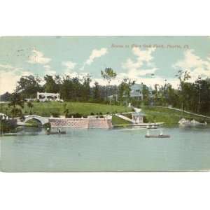   Postcard Scene in Glen Oak Park   Peoria Illinois 