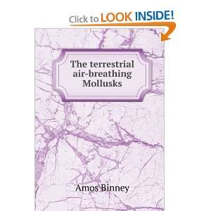  The terrestrial air breathing Mollusks Amos Binney Books