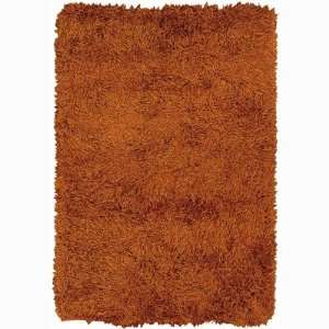  Chandra Rugs DUK 20903 Duke Solid Pattern Shag Rug Size: 2 