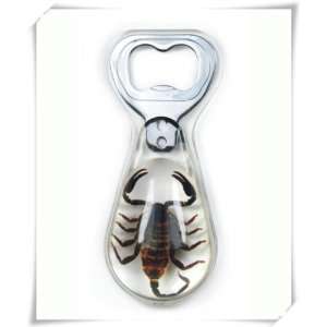  Black Scorpion Beer Bottle Opener (Clear) 