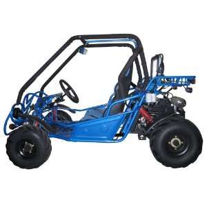  250cc 2 seat Go Kart (KD 250FS)