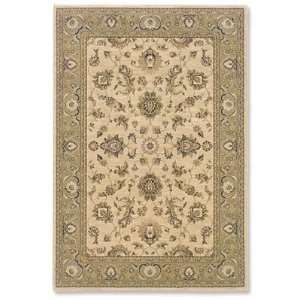  Orvis Derway Rug: Home & Kitchen