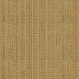  31992 1624 by Kravet Smart Fabric