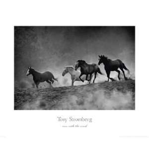  Tony Stromberg Run with the Wind 32x27 Poster Print