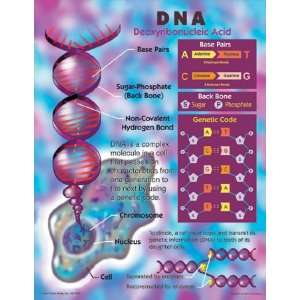  Dna: Office Products