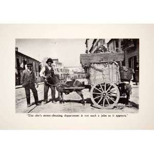  1912 Print Street Cleaning Department Sardinian Donkey Via 