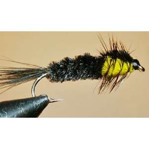  Montana Stonefly