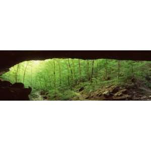  Forest, Cobb Cave, Lost Valley, Ozarks, Arkansas, USA 
