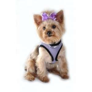   Choke Free Dog Harness  Lavender, Medium (Chest 16 19): Pet Supplies