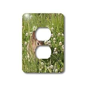 Beverly Turner Photography   Bunny in the Clover   Light Switch Covers 