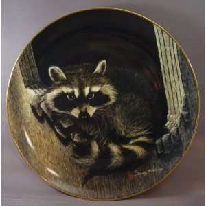   Baby Bandit by Sally Miller from Modern Masters LTD. 