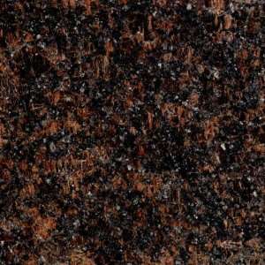 Montego Sela Tan Brown Classic 18 X 18 Polished Granite Tile (9 Sq. Ft 