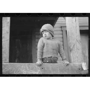  Photo Coal miners son, Kempton, West Virginia 1939