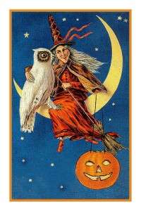   Halloween #18 Witch Moon Owl Counted Cross Stitch Chart  