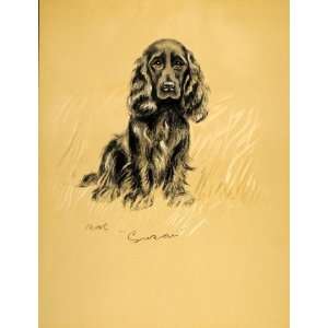  1937 Lucy Dawson Spaniel Dog Gun Breed Art Color Print 