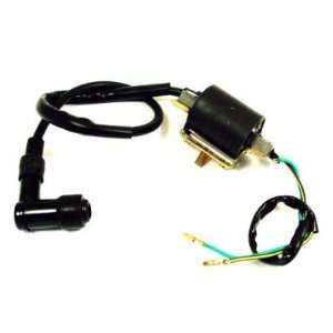    Jaguar Power Sports 4 Stroke Ignition Coil: Sports & Outdoors