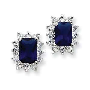  Sterling Silver Darl Blue and Clear CZ Earrings Vishal 