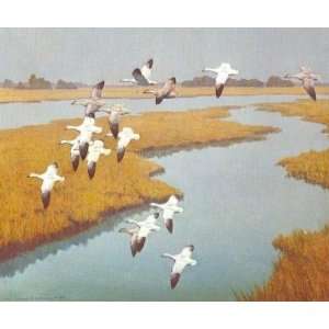  Harry Curieux Adamson   Over the Marsh Snow Geese