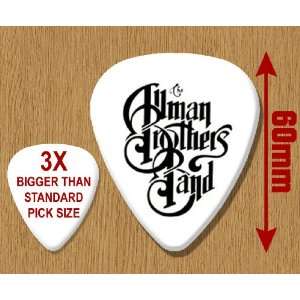  Allman Brothers BIG Guitar Pick: Musical Instruments
