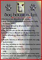 hr ENGLISH BULL TERRIER (White) DOG SIGN   HOUSE RULES  