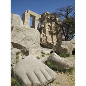  Giant Foot Is One of Few Remains of Colossal 17M Statue of 