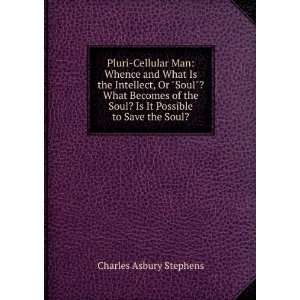   Soul? Is It Possible to Save the Soul? Charles Asbury Stephens Books