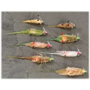  Enrico Puglisi Shrimp Selection Fly Assortment Sports 