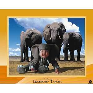  Tom Arma   Imaginary Safari   Elephant   Canvas: Home 