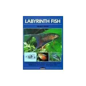  Barrons Books Labyrinth Fish Book