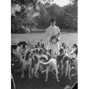  Man Standing with Group of Hounds at Rolling Rock Fox Hunt 