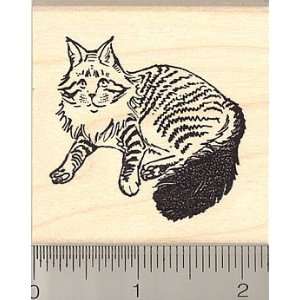  Maine Coon Cat Rubber Stamp Arts, Crafts & Sewing