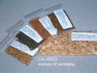 1750+ LARKSPUR Giant Imperial Mix Seeds Bulk  