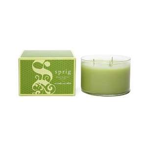  SPRIG Fragrances 3 Wick Candle   Avocado & Olive: Home 