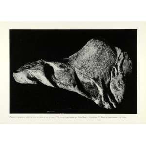  1953 Print Ibex Goat Sculpture Statue Figure Buffalo 