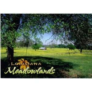    Louisiana Postcard 13215 Meadowlands Case Pack 750 